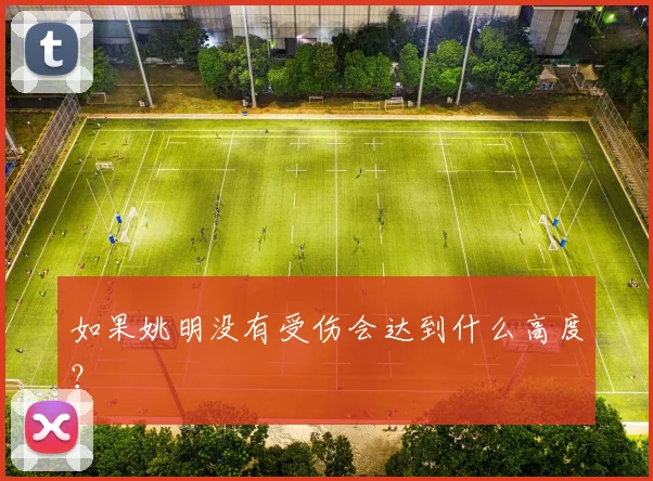如果姚明没有受伤会达到什么高度？